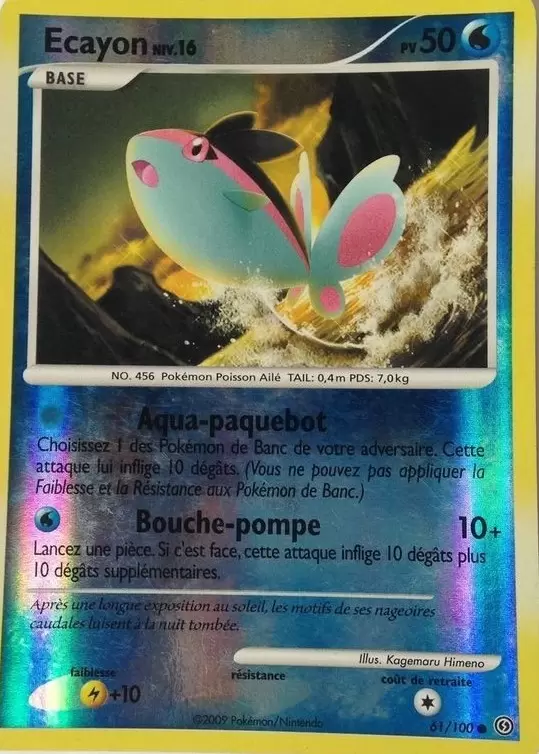 Tempête - Ecayon Reverse