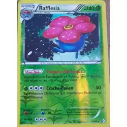 Rafflesia Reverse