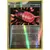 Pokémon Série Platine - PlusPower reverse