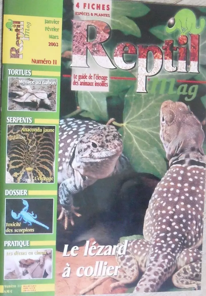 Reptil Mag - Reptil Mag N°11