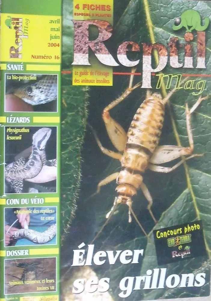 Reptil Mag - Reptil Mag N°16