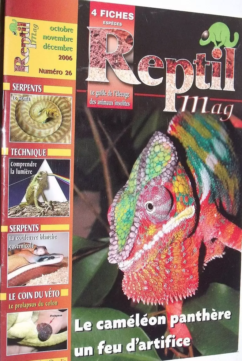 Reptil Mag - Reptil Mag N°26