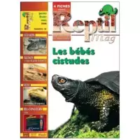Reptil Mag N°31