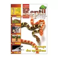 Reptil Mag N°34
