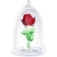 Enchanted Rose - Beauty and the Beast