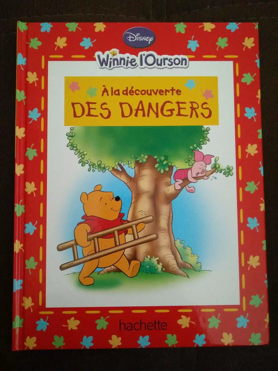 Winnie l\'Ourson - A la découverte DES DANGERS