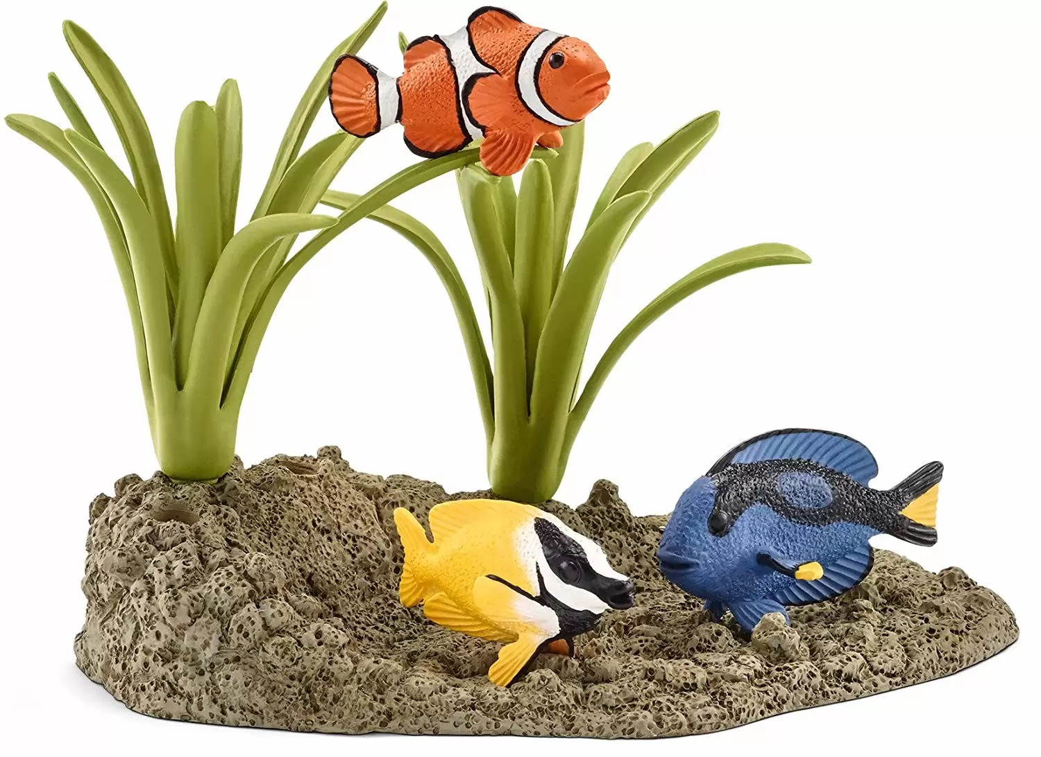 Wild Life - Poissons Coralliens