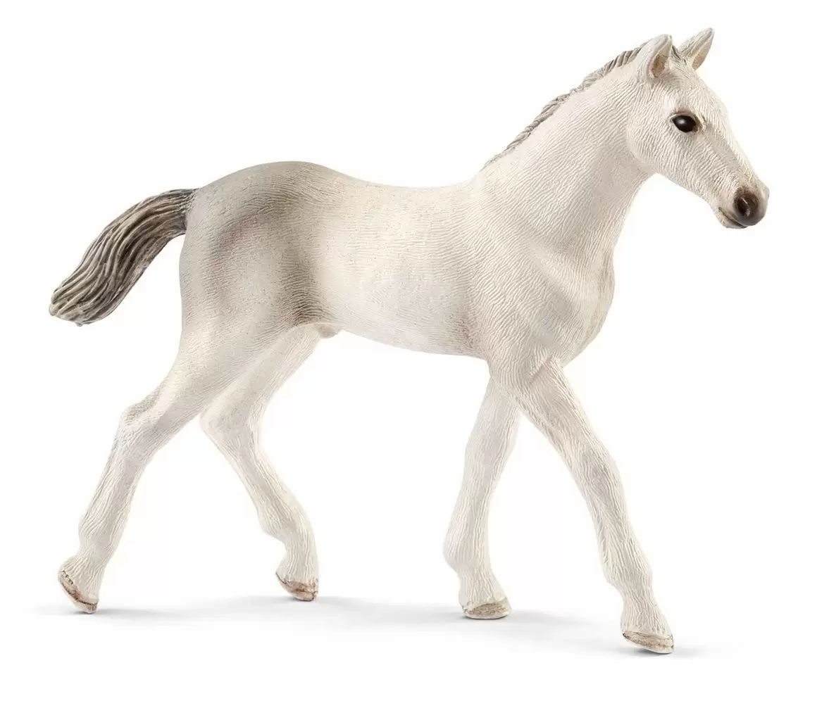 Horse Club - Poulain Holstein