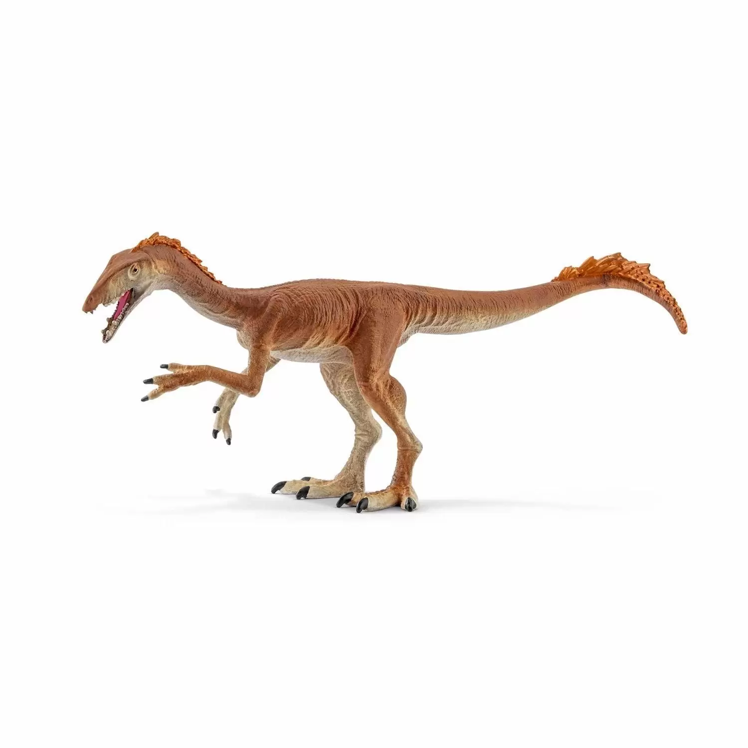 Dinosaurs - Tawa