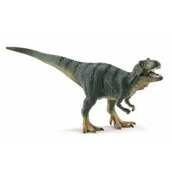 Jeune tyrannosaure Rex