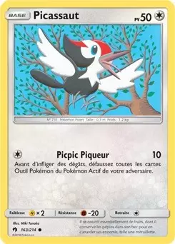 Tonnerre Perdu - Picassaut