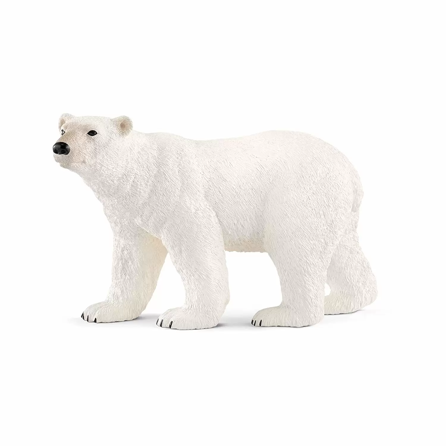 Wild Life - Polar Bear