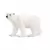 Ours polaire