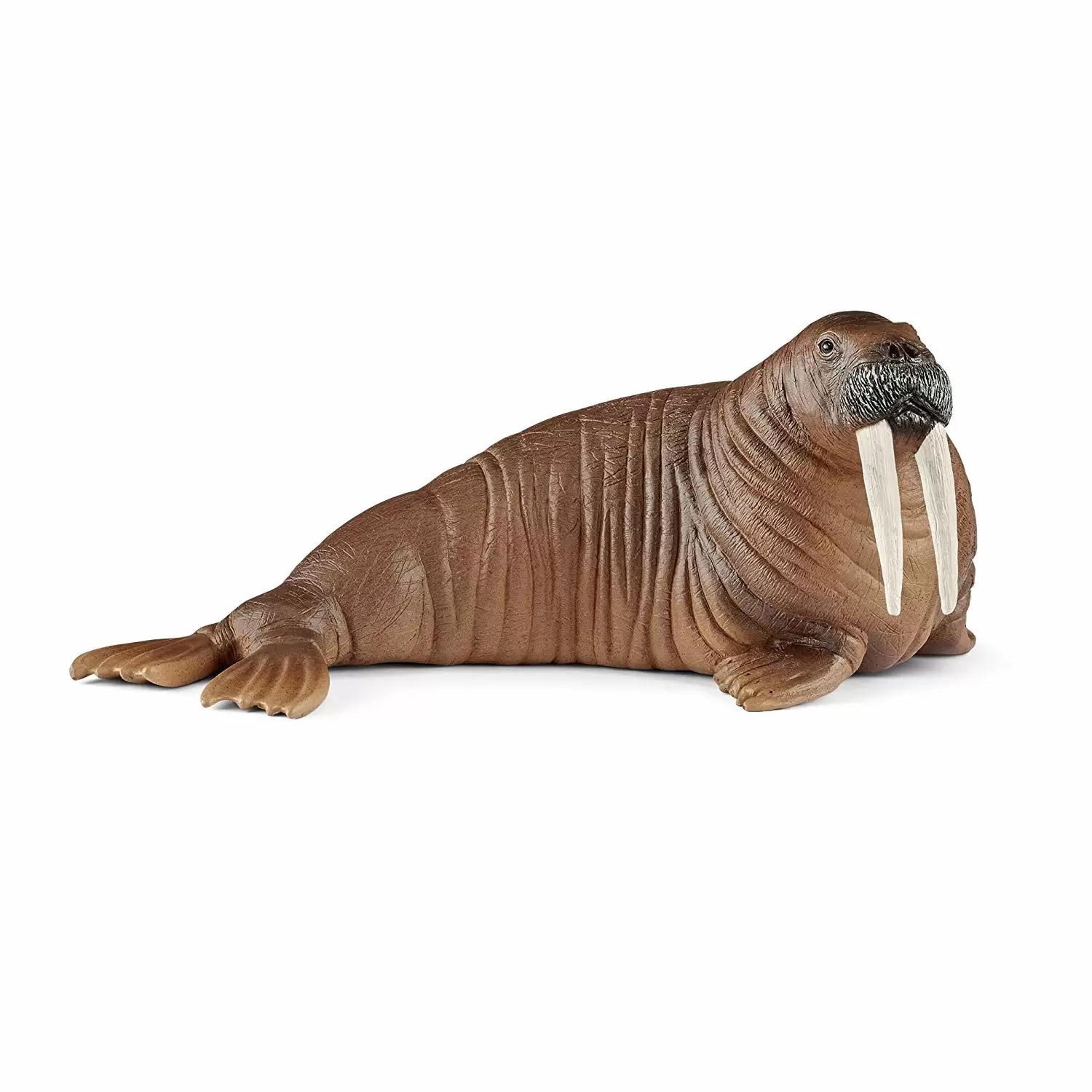 Wild Life - Morse
