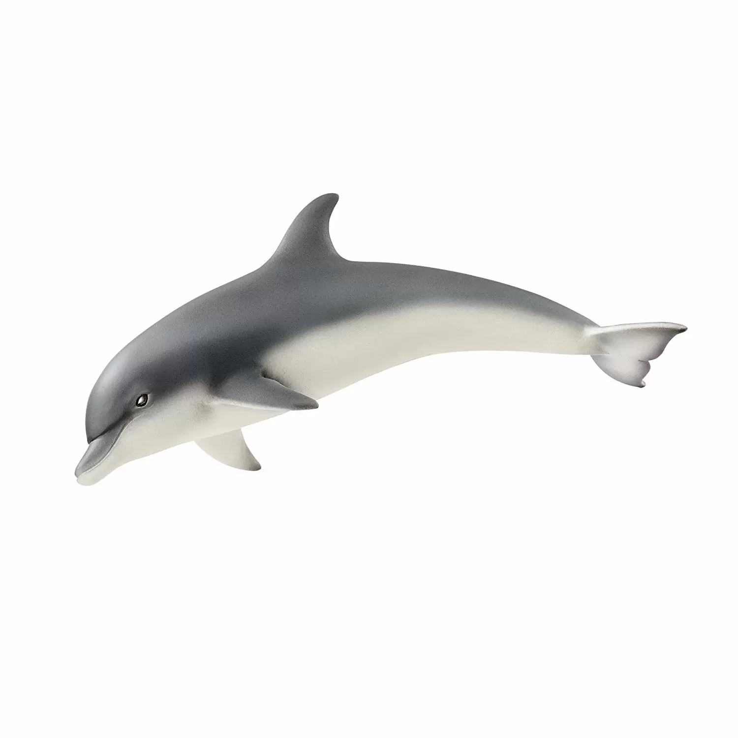 Wild Life - Dauphin
