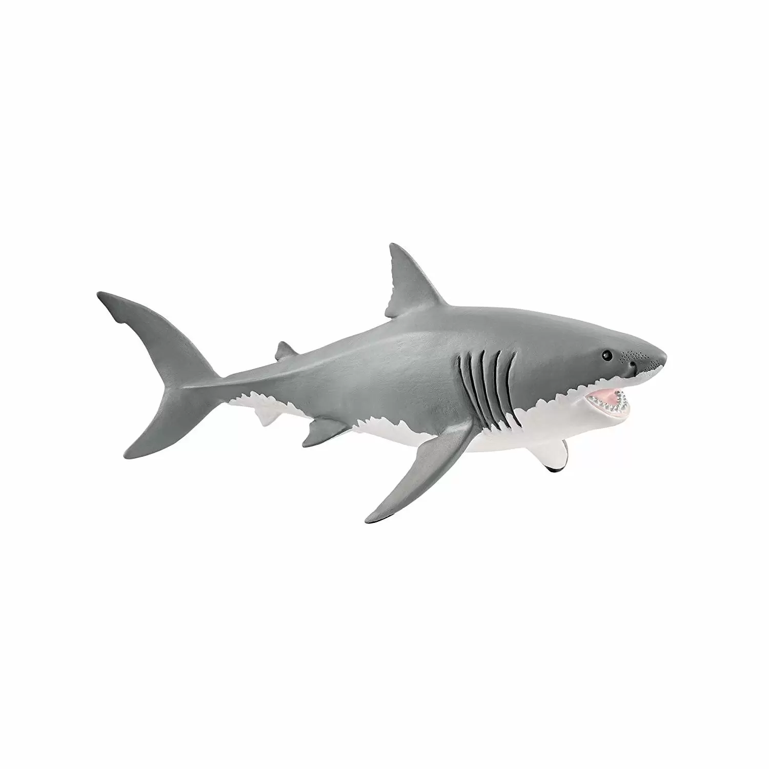 Wild Life - Requin blanc