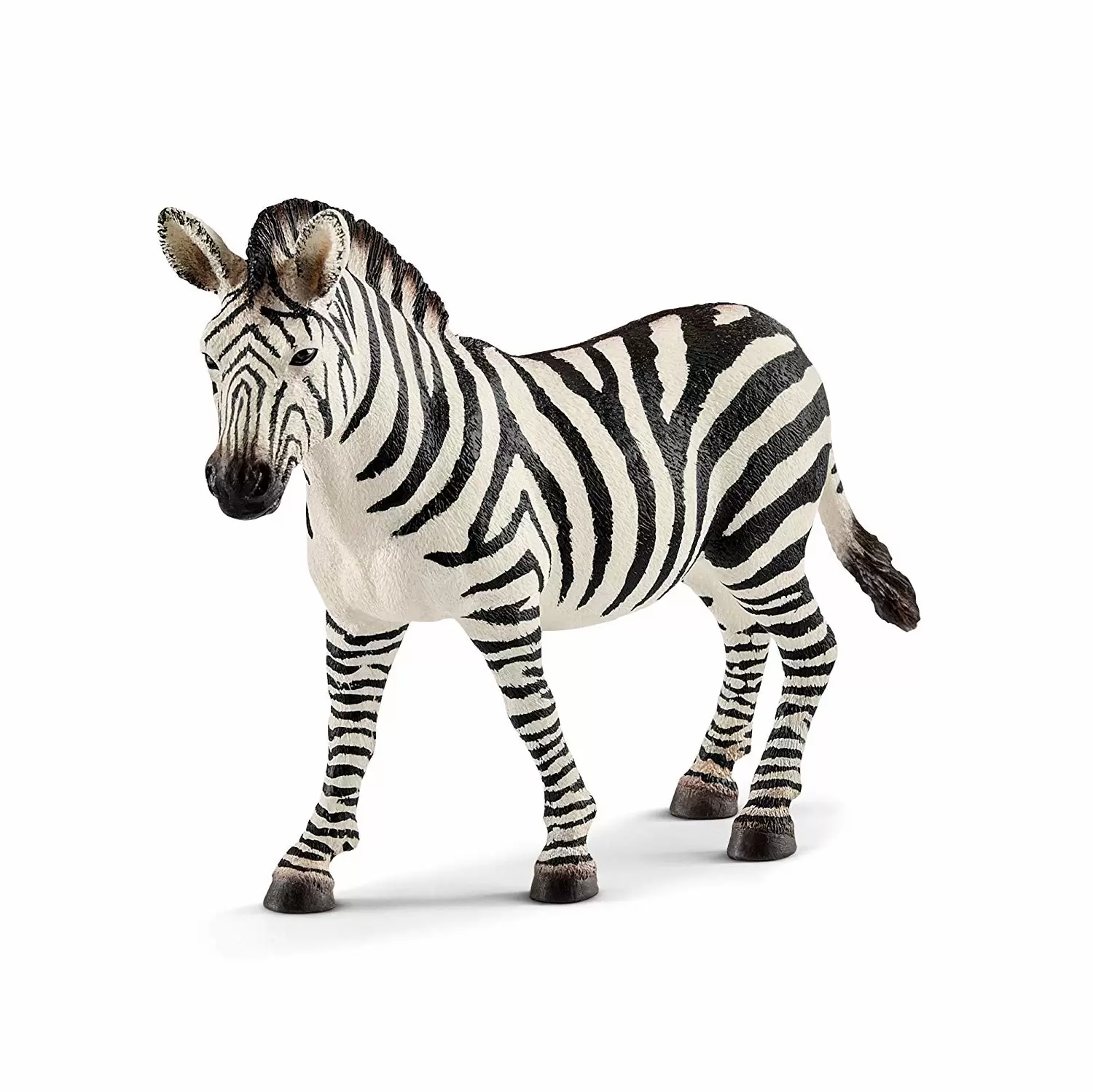 Wild Life - Zébrelle