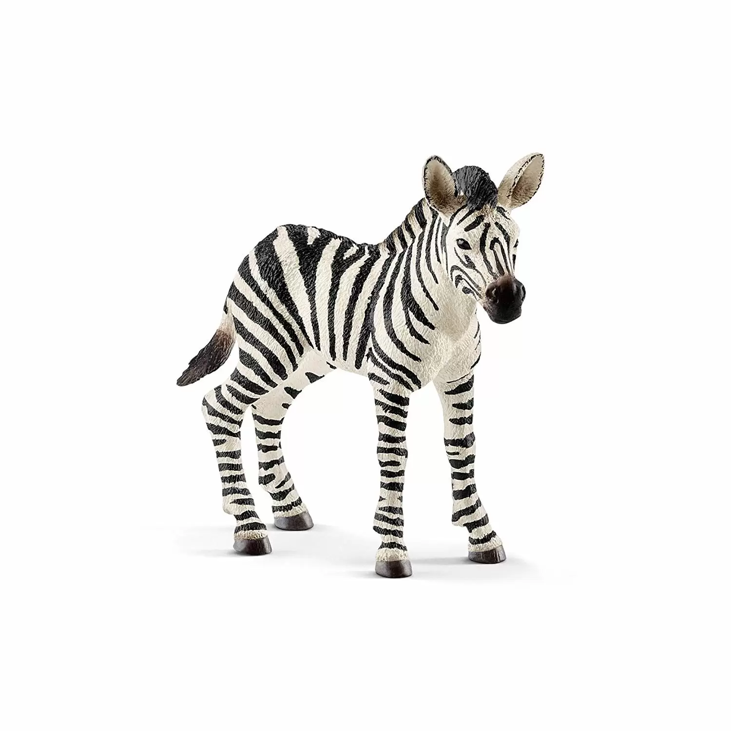 Wild Life - Zébreau