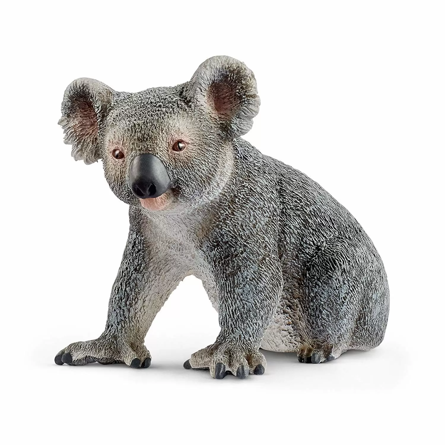 Wild Life - Koala