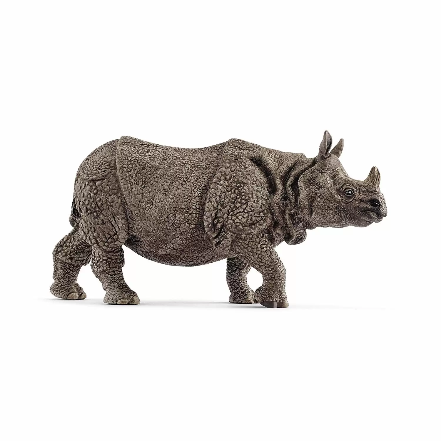 Wild Life - Rhinocéros indien
