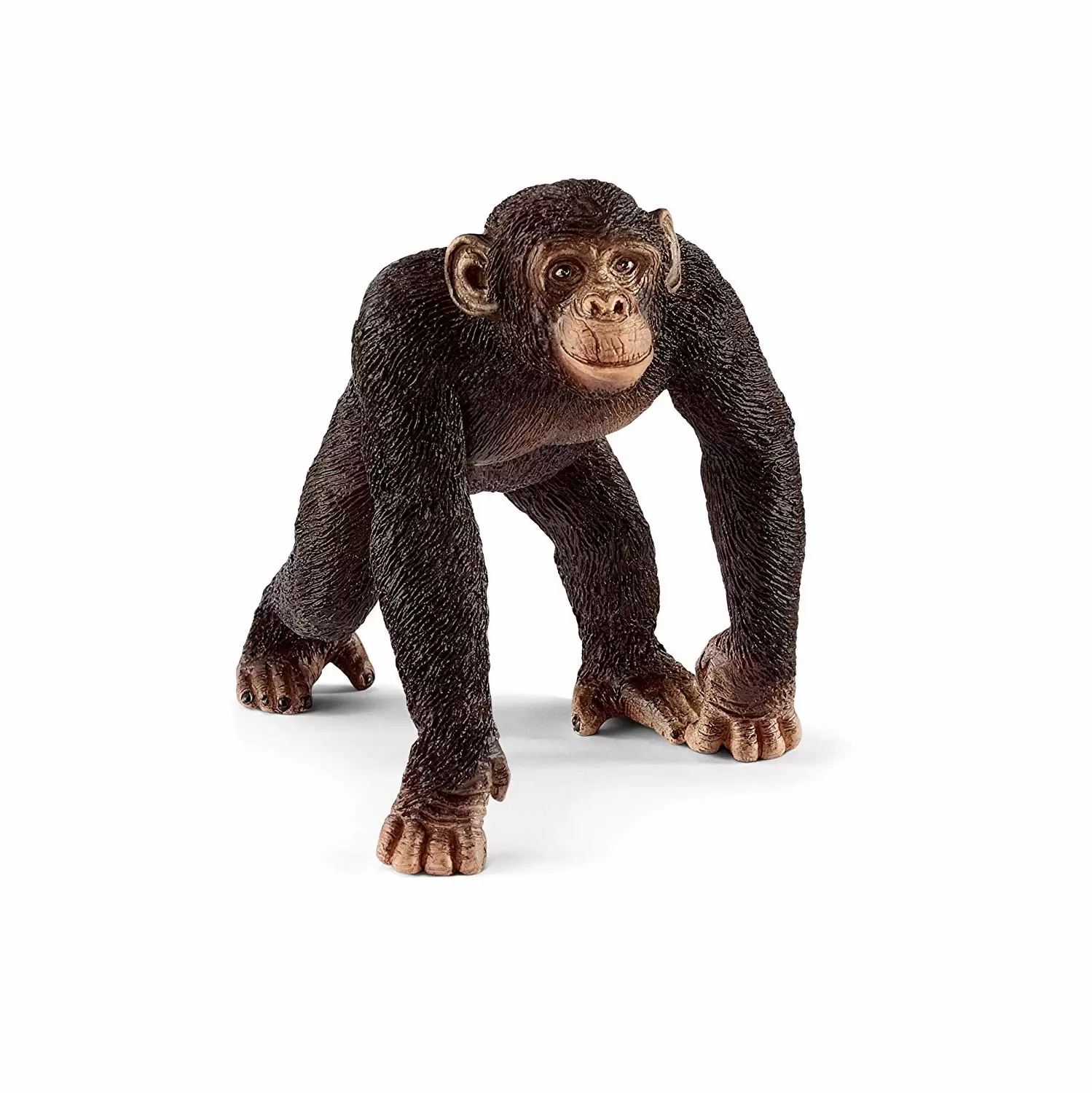 Wild Life - Chimpanzé mâle