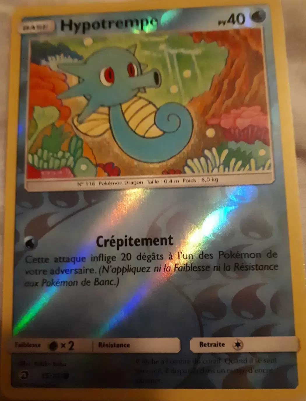 Majesté des Dragons - Hypotrempe Reverse