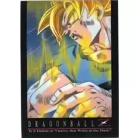 Dragon Ball Card J