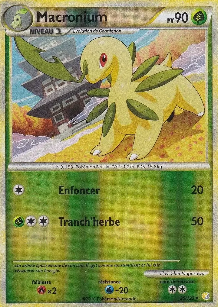 Pokémon Série HeartGold et SoulSilver - Macronium Reverse