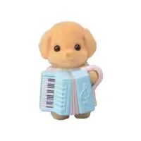 Toy Poodle Baby and accordion