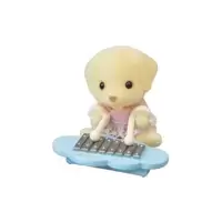 Yellow Labrador Baby (sitting) and xylophone with mallets