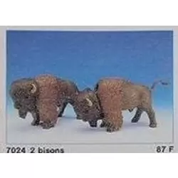 2 Bisons