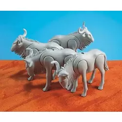4 Wildebeest