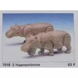 2 Hippopotami