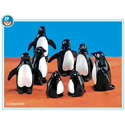 8 Penguins