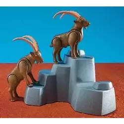 2 Mountain Goats With Rock Form
