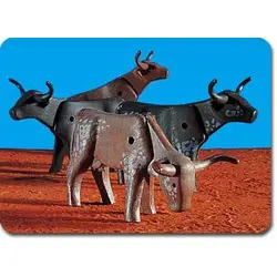 Longhorn Cattle