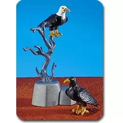 Eagles