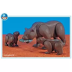 Kodiak Bears