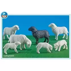 4 moutons et 3 agneaux