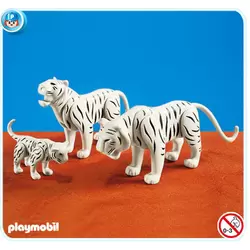 2 White Tigers with Cub