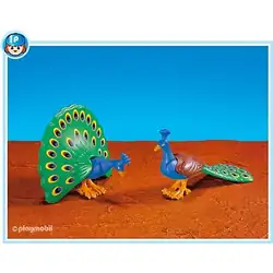 2 Peacocks