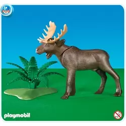 Moose