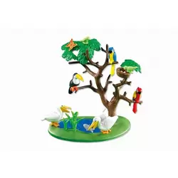 Exotic Birds with Tree
