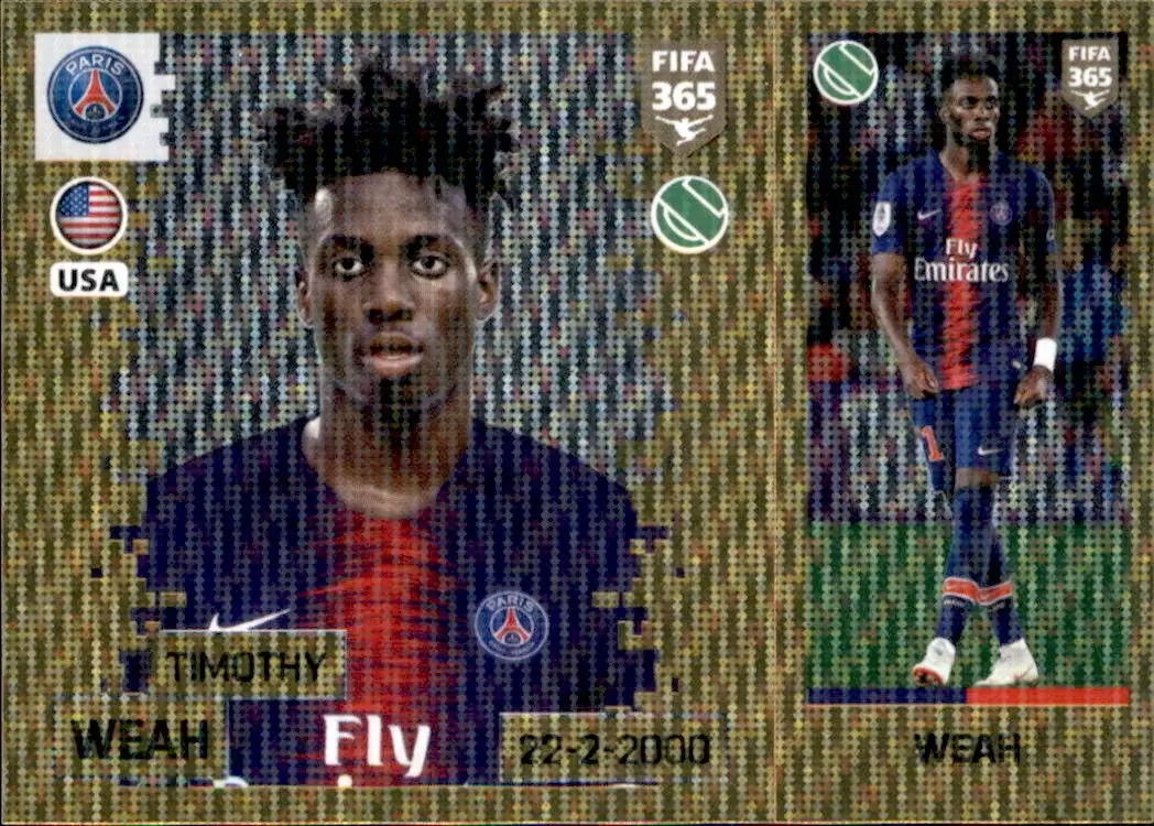 the golden world of football fifa 19 - Timothy Weah - Inspirations