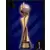 Trophy - Women's world cup France 2020