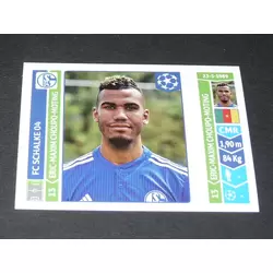 Eric-Maxim Choupo-Moting - FC Schalke 04