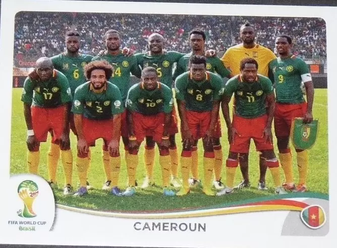 Fifa World Cup Brasil 2014 - Team - Cameroun