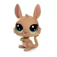 ADA KANGAROONEY
