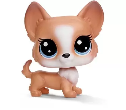 Littlest Pet Shop - Generation 6 - Series 1 - BLOSSOM CORGO