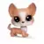 Littlest Pet Shop - Generation 6 - Series 1 - BLOSSOM CORGO